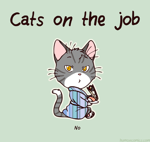 Cat on the job HumonComics.com