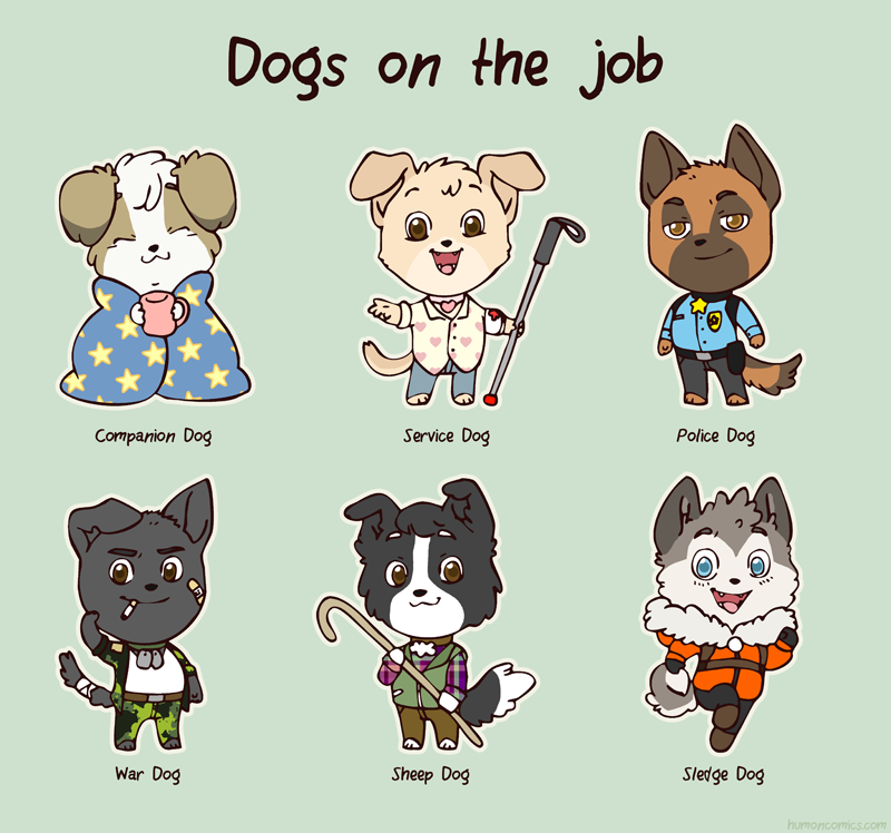 what jobs can a dog do