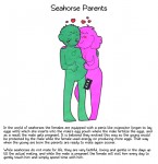 Cute Seahorses