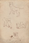 Your best friend