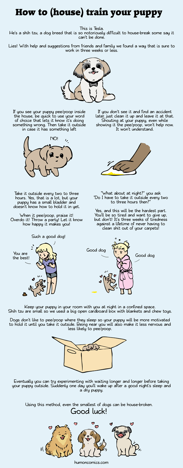 How to house break your pup HumonComics.com