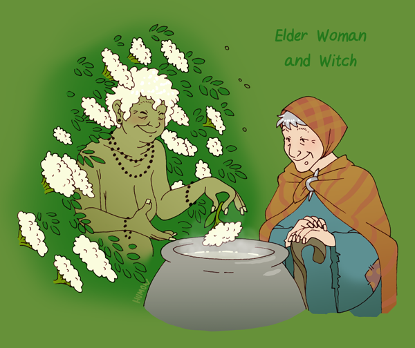 Woman of the Elder Tree HumonComics.com
